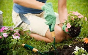 Садоводство и огородничество: советы дачникам