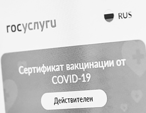 В Общественной палате отреагировали на сбой с QR-кодами на «Госуслугах» 