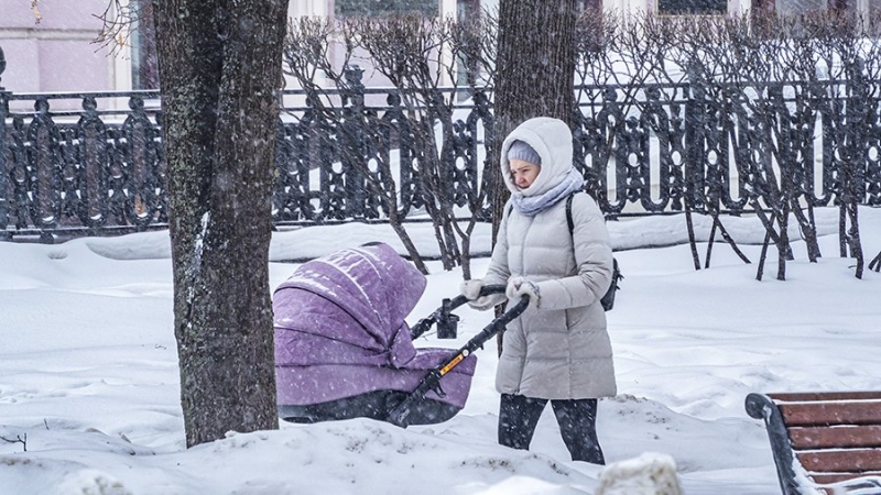 Жителей Москвы предупредили о метелях до середины субботы