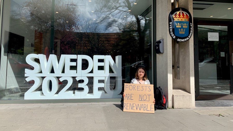 Грета Тунберг устроила одиночную забастовку перед посольством Швеции в Брюсселе