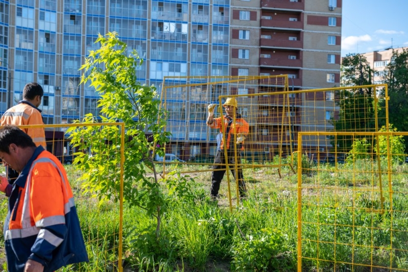 Работы по благоустройству сквера «Центральный» начались в Лыткарино