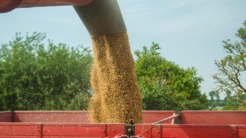 Россия объявила о выходе из зерновой сделки. Что это значит