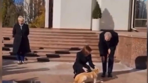 Собака президента Молдовы укусила президента Австрии, из-за чего последнему наложили повязку (фото, видео)