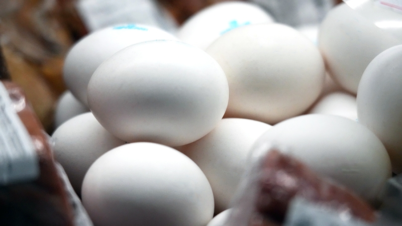 Первая партия куриных яиц поступила из Азербайджана в Россию