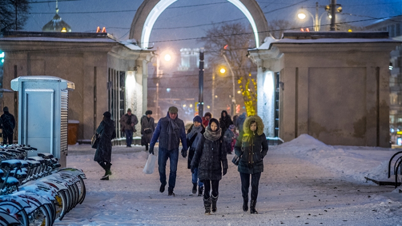 Синоптики предупредили москвичей о мокром снеге и гололеде 29 декабря