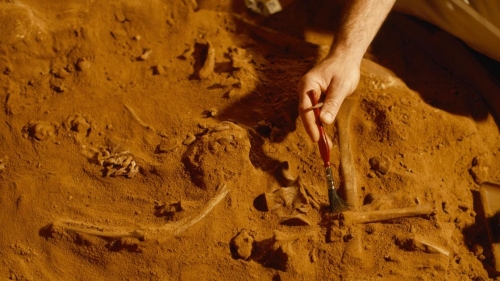 В Британии обнаружили скелет человека, жившего 2 тыс. лет назад. Он пришел туда с территории современной России