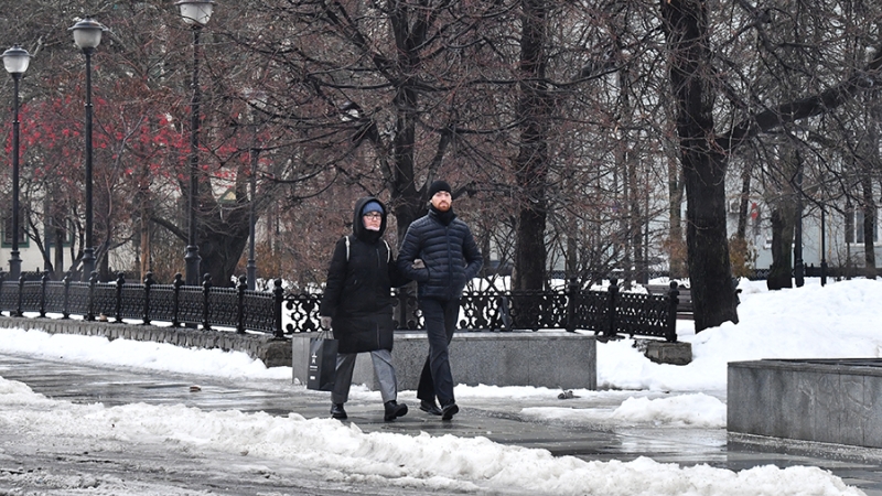 Синоптики предупредили о гололедице и осадках в столичном регионе 24 февраля