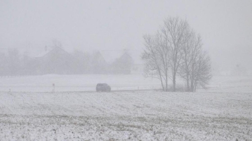 Снегопад и заморозки в Германии: есть погибший и пострадавшие